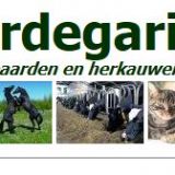 Dierenartsenpraktijk Giekerk Hardegarijp Veenwouden